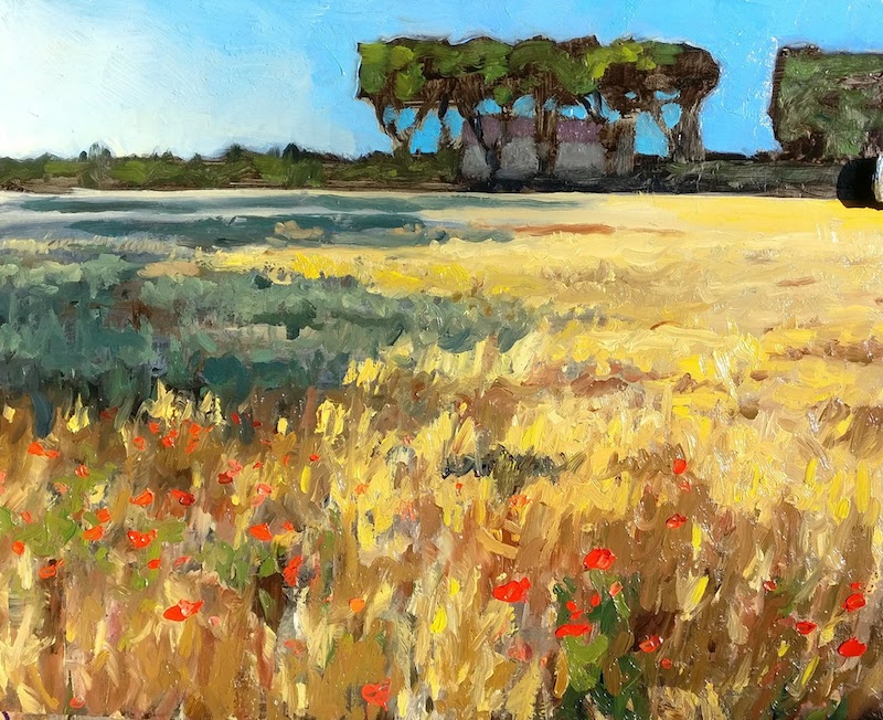 Wheat Field Near Roujan